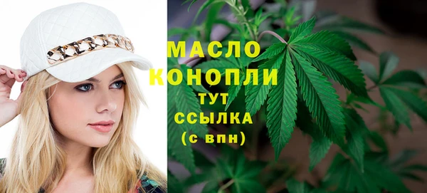 индика Богданович