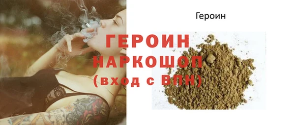 индика Богданович