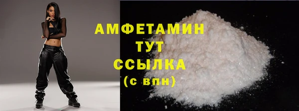 индика Богданович
