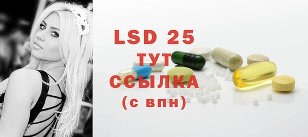 индика Богданович