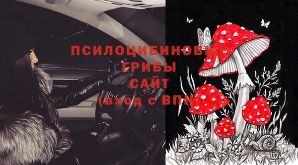 индика Богданович
