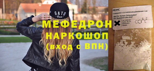 индика Богданович