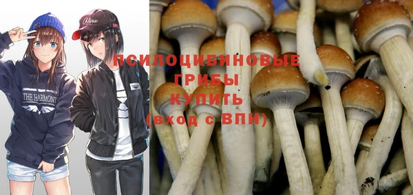 прущие крисы Богородицк