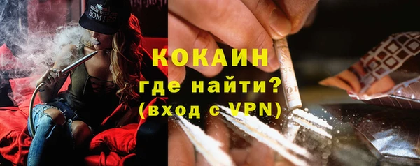 индика Богданович