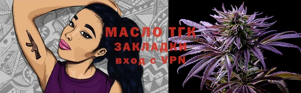 индика Богданович