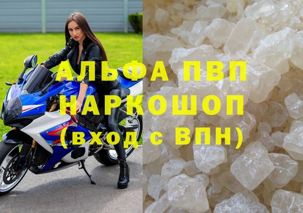 индика Богданович