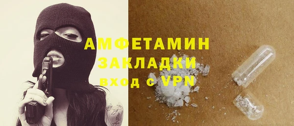 индика Богданович